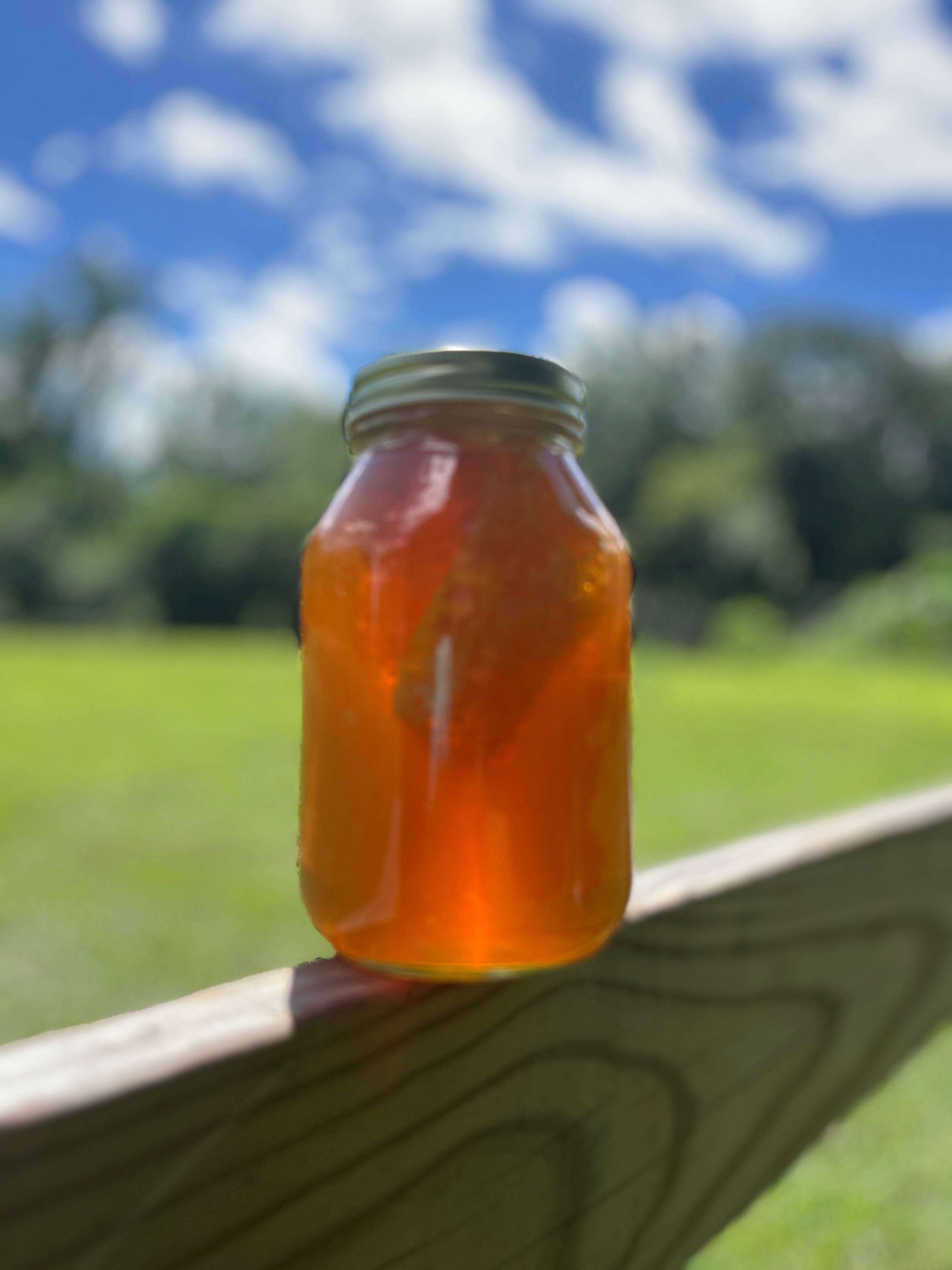 Raw Honey with Cut Comb – 3 lb Glass Jar