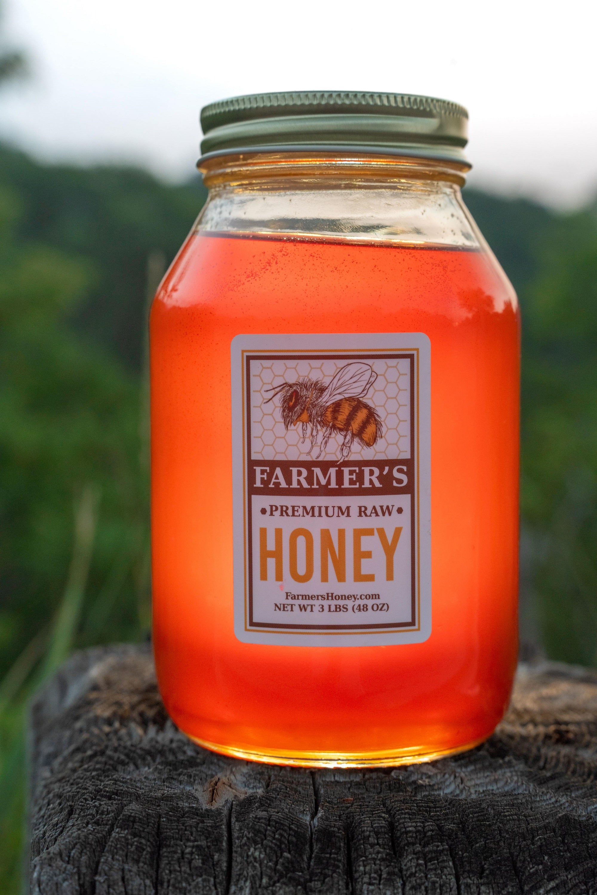 Raw Honey – 3 Pound Glass or Squeeze Jar