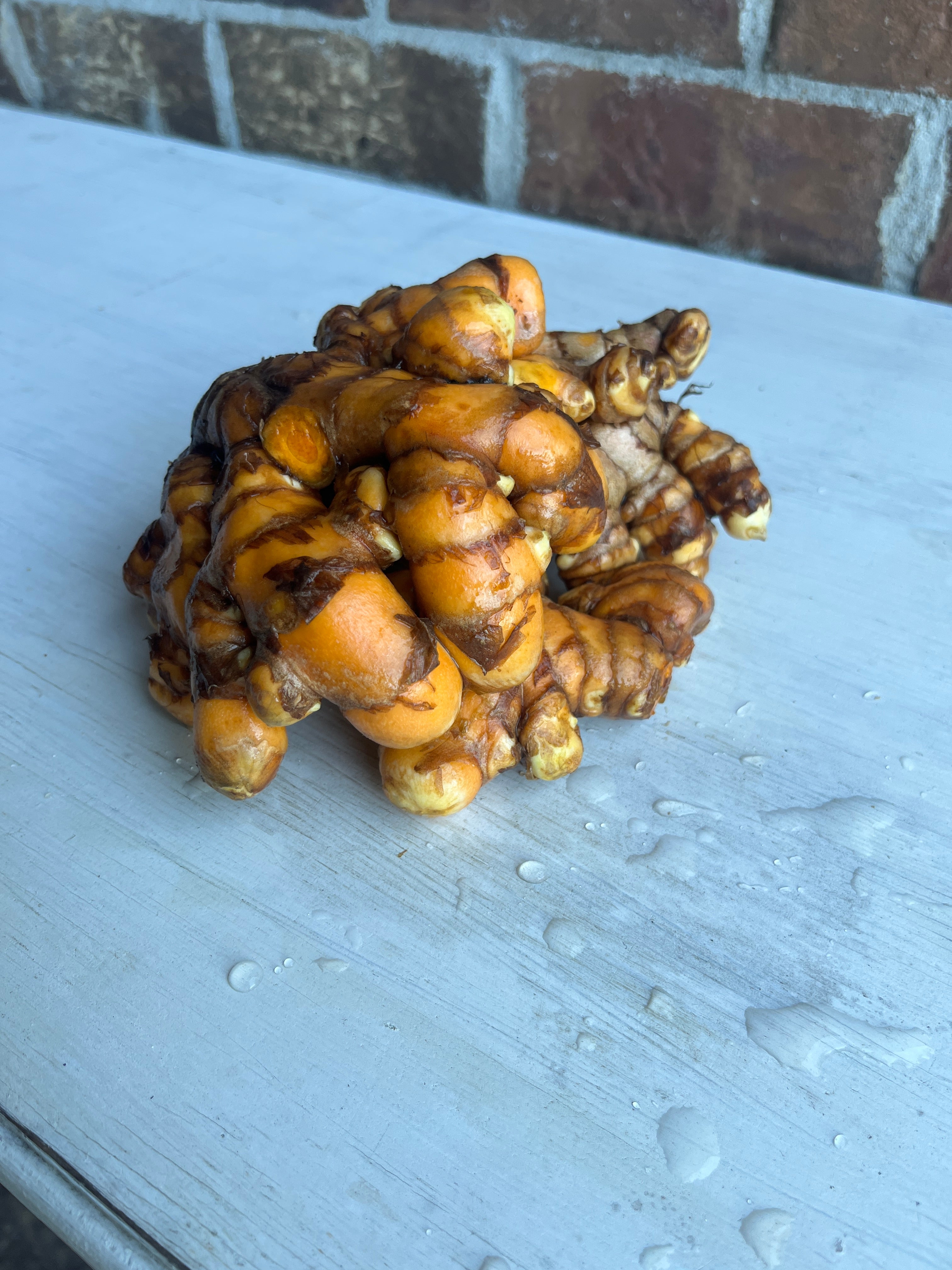 Fresh Turmeric 1 LB