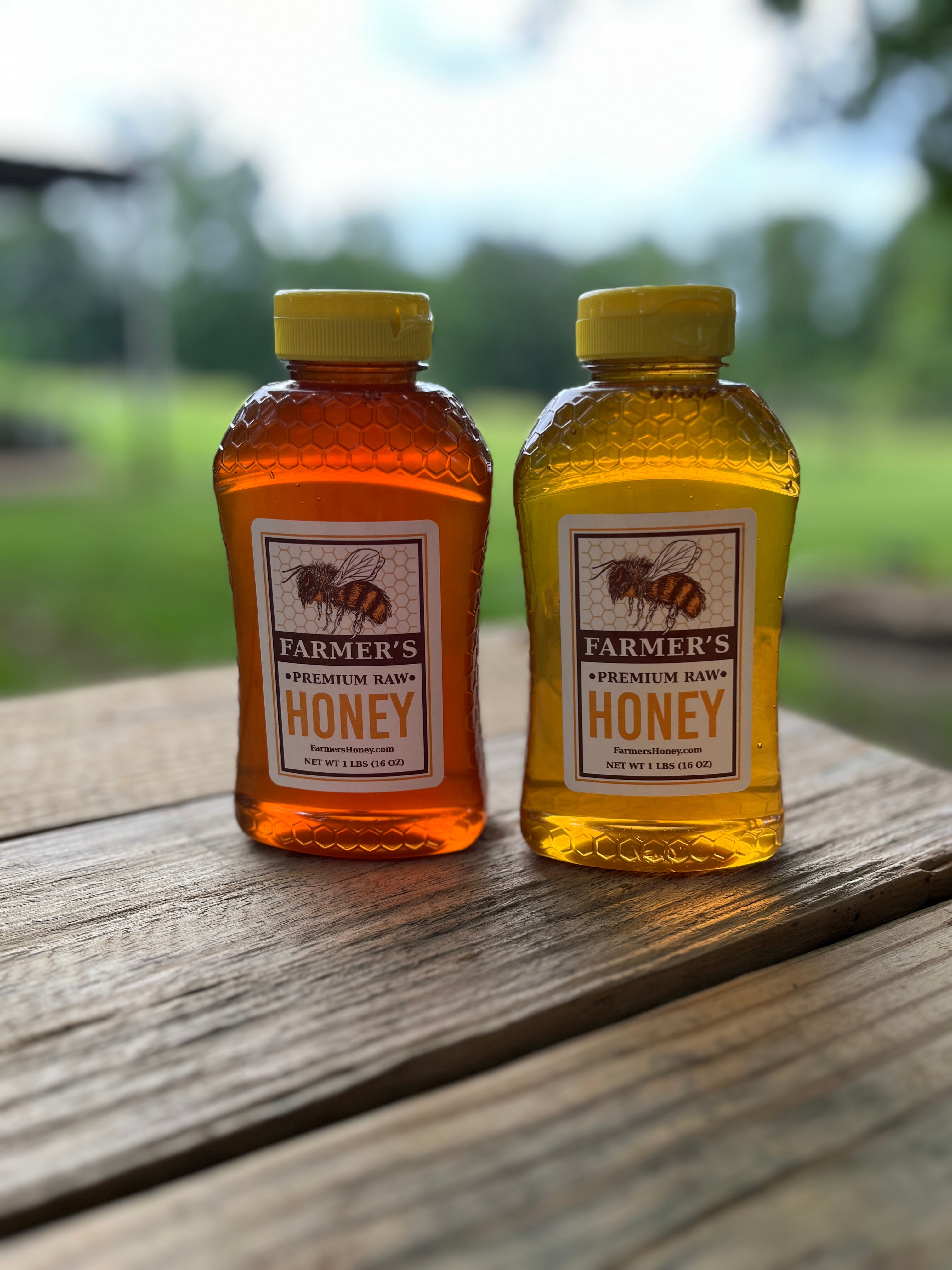 Spring vs Fall Raw Honey